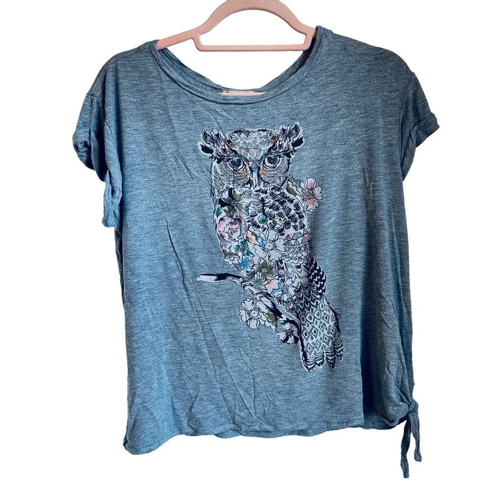 Democracy Blue Owl Graphic Tee